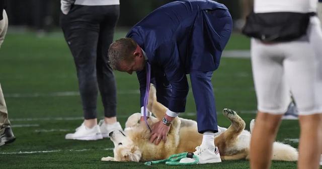 Why Does Kirk Herbstreit Have A Dog With Him? Meet Ben