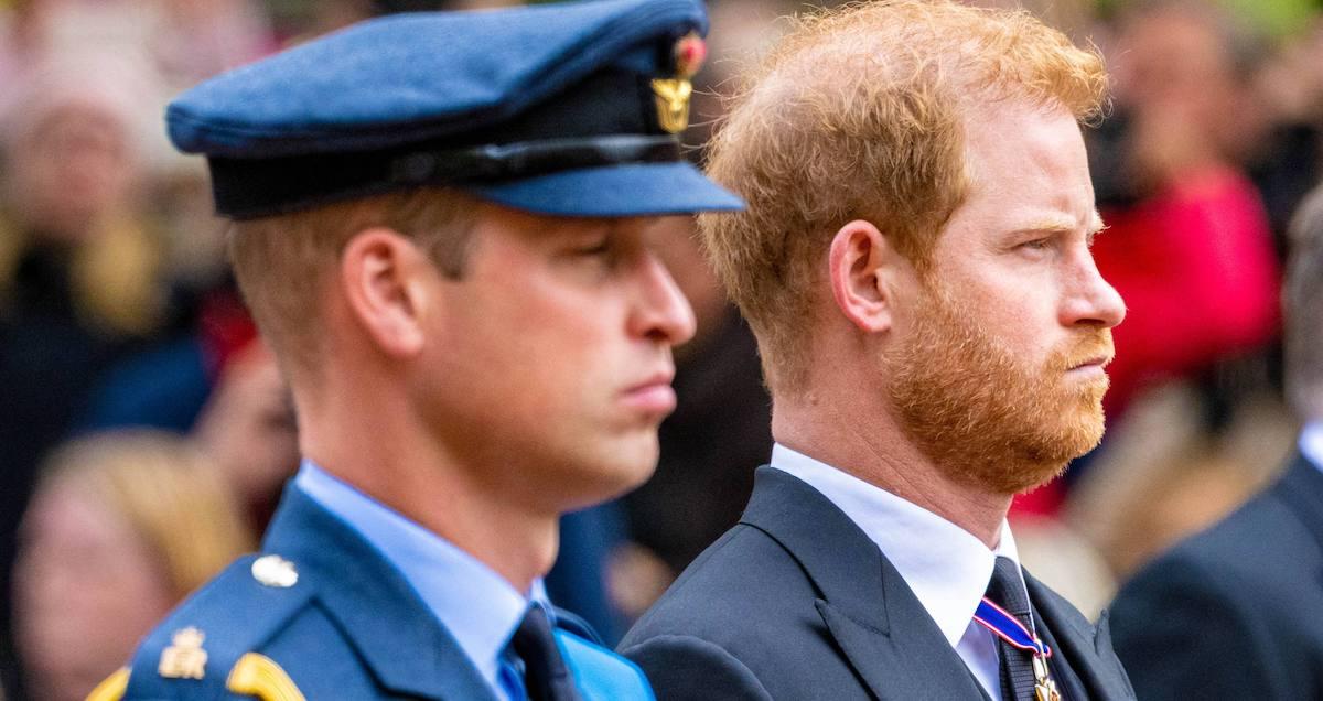 Prince William and Prince Harry