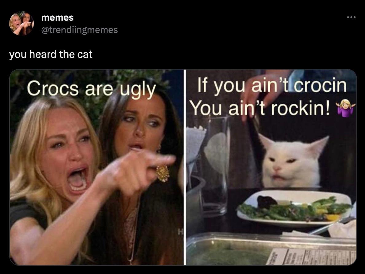 woman yelling at cat memes