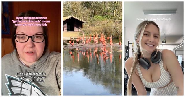 WWomen on TikTok discussing "getting your pink back"