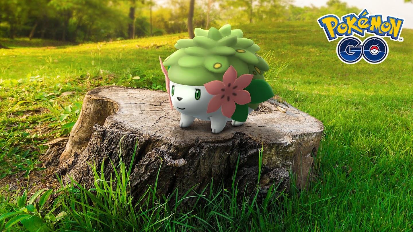 Shaymin type, strengths, weaknesses, evolutions, moves, and stats -  PokéStop.io