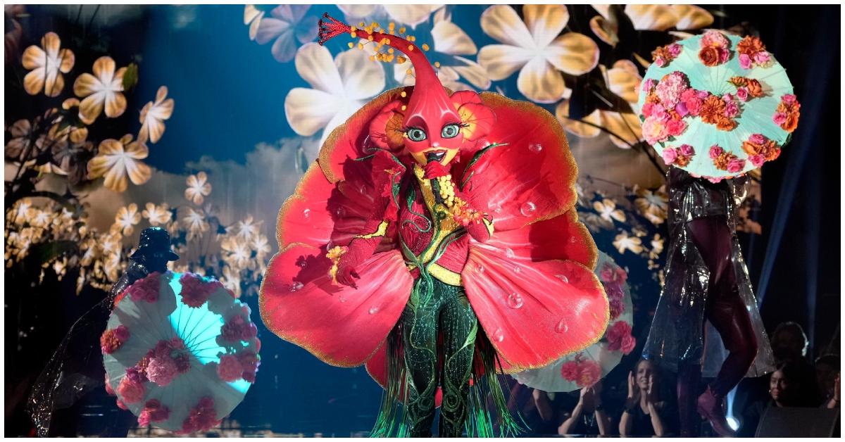 Hibiscus on 'The Masked Singer'