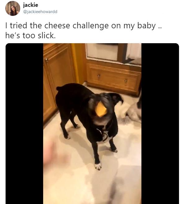 baby cheese challenge