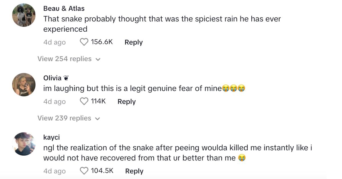 tiktok comments about snake found in woman's toilet