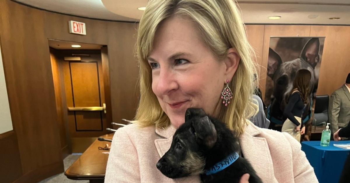 Melissa Hortman holds a puppy after local Humane Society brings animals to the Capitol for a visit