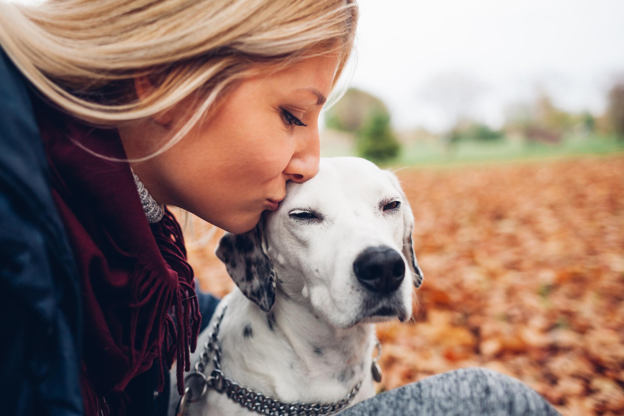 kissing dogs