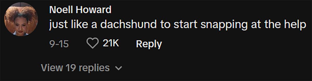 A commenter saying, "Just like a Dachshund to start snapping at the help."