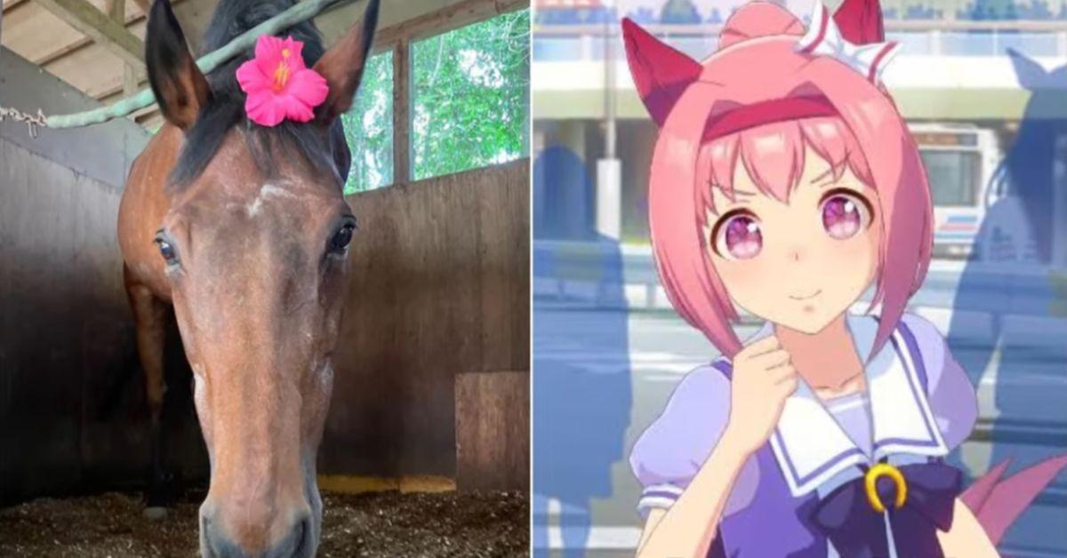 Haru Urara Horse Cause of Death and Legacy