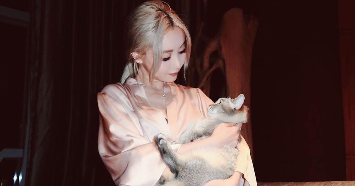 What Happened to Wengie's Cat? The YouTuber Posted Emotional Tributes
