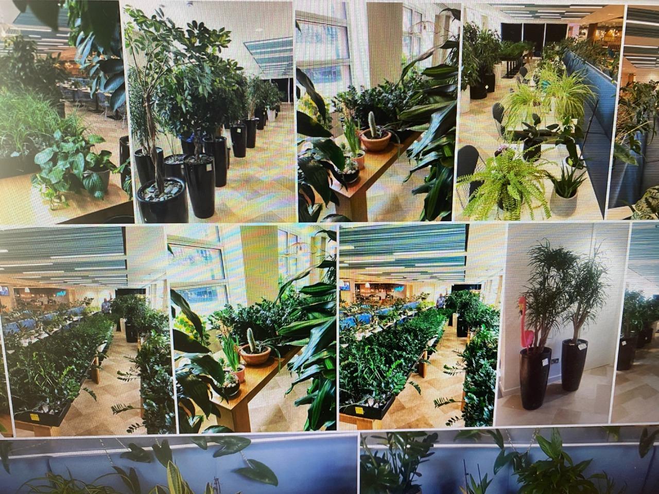 Security Guards Labeled and Watered Office's Plants During ThreeMonth