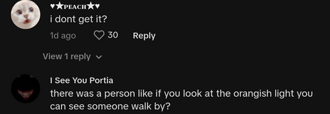 always trust your dog