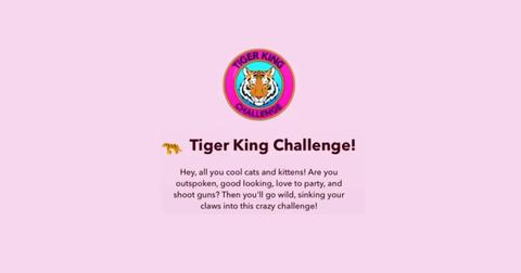 Here S How You Can Complete The Tiger King Bitlife Challenge