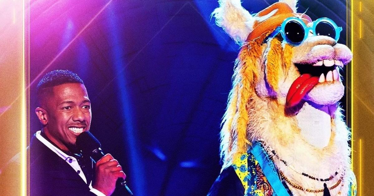 maskedsingerllama