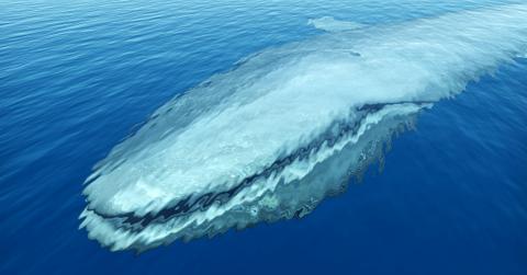 blue whale challenge