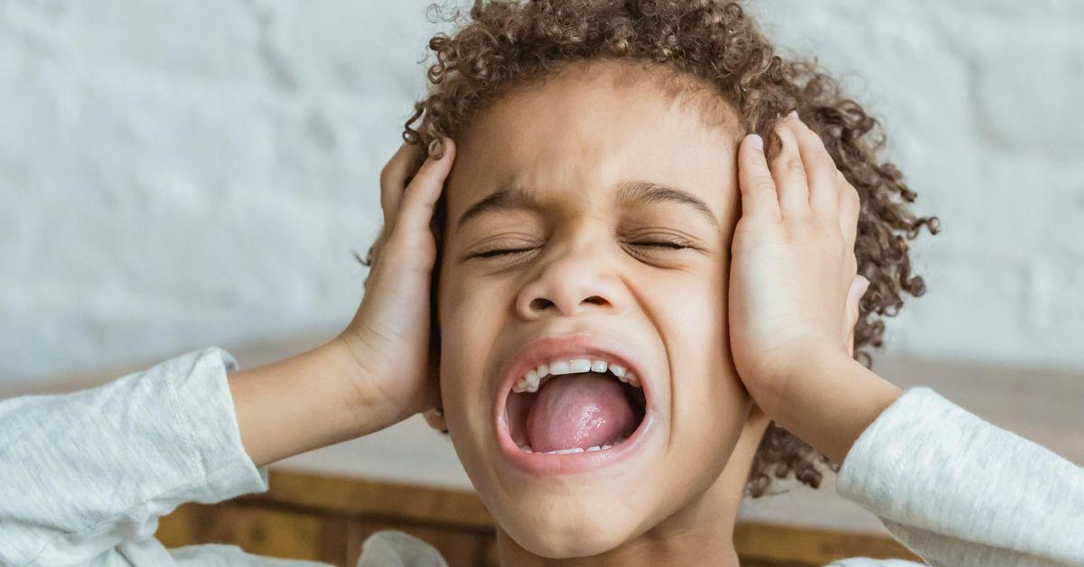 A Toddler Having a Tantrum