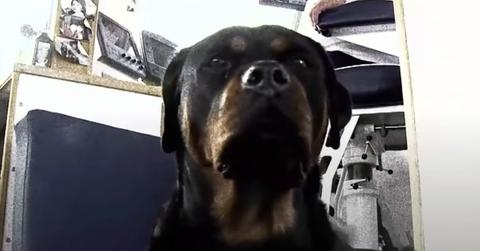 Reba on 'Wicked Tuna'