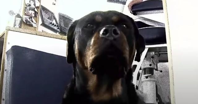 Reba on 'Wicked Tuna'