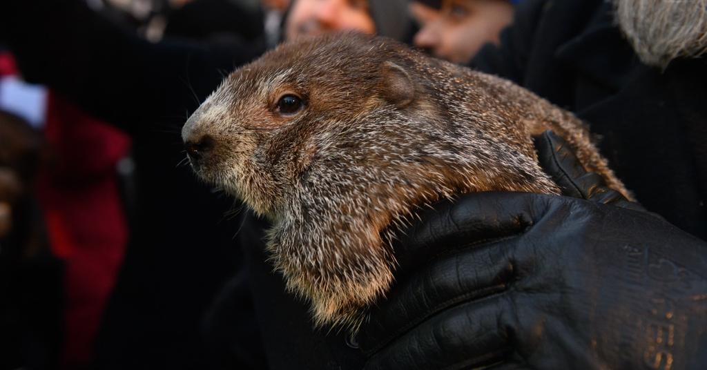 When Did Phil The Groundhog Die