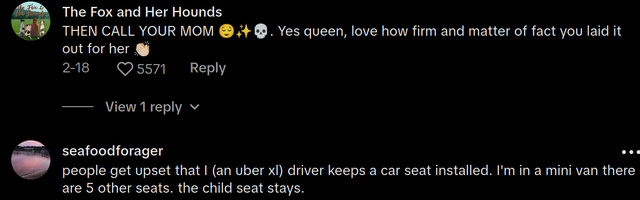 Mom Tries to Take an Uber With No Car Seats for Six Kids
