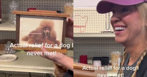 Someone Leaves Their Dog’s Ashes at Goodwill