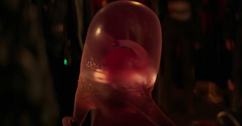 Veb in 'Ant-Man and the Wasp: Quantumania'