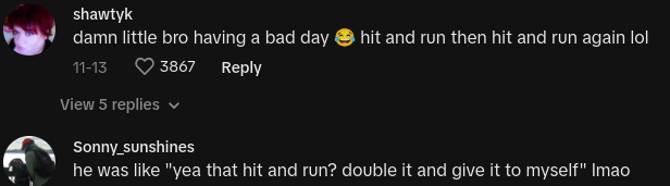 double hit and run