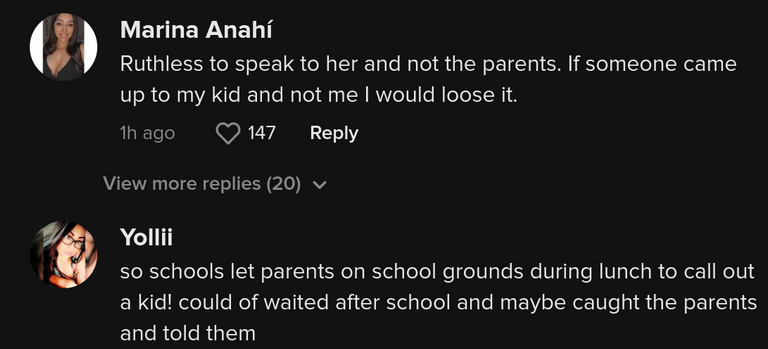 Mom Confronts Sons Elementary School Bully Sparking Debate 