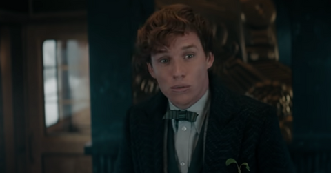 Newt Scamander