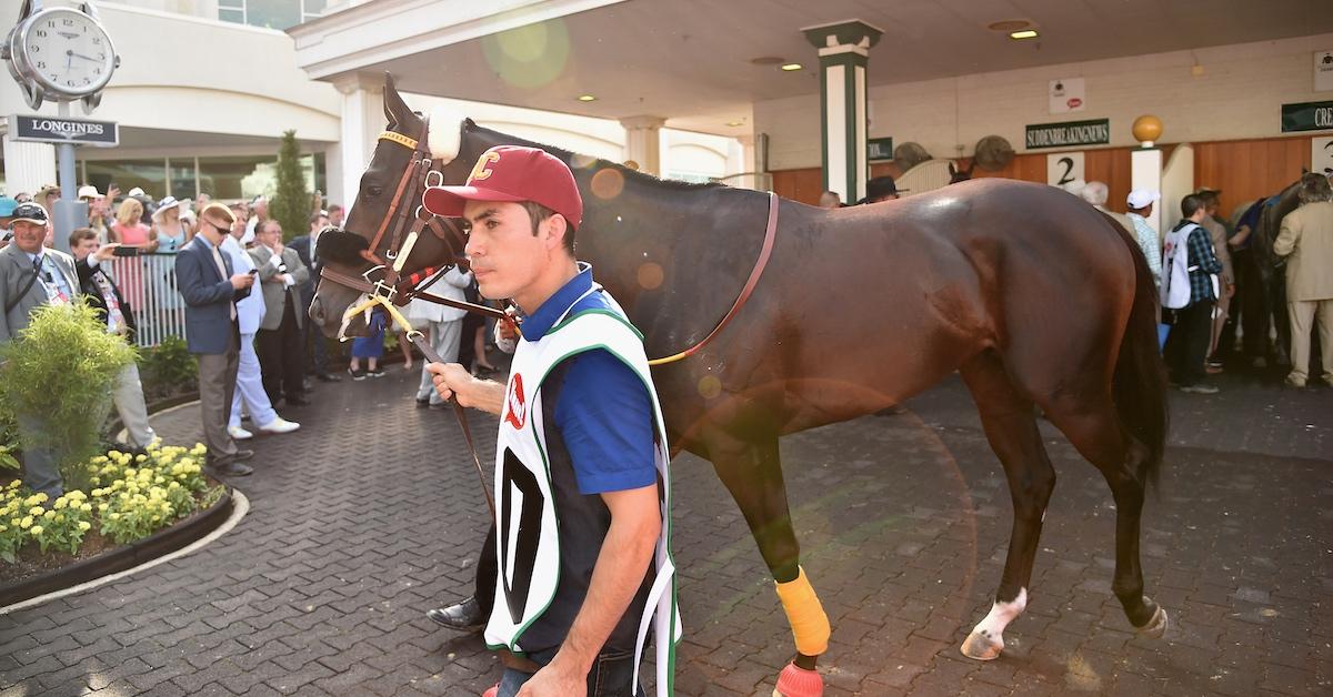 A race horse going to the track