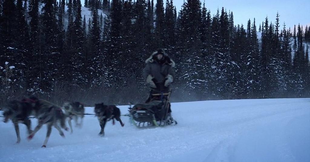 'Life Below Zero' Jessie Holmes Iditarod Ranking — Has He Won the Race?