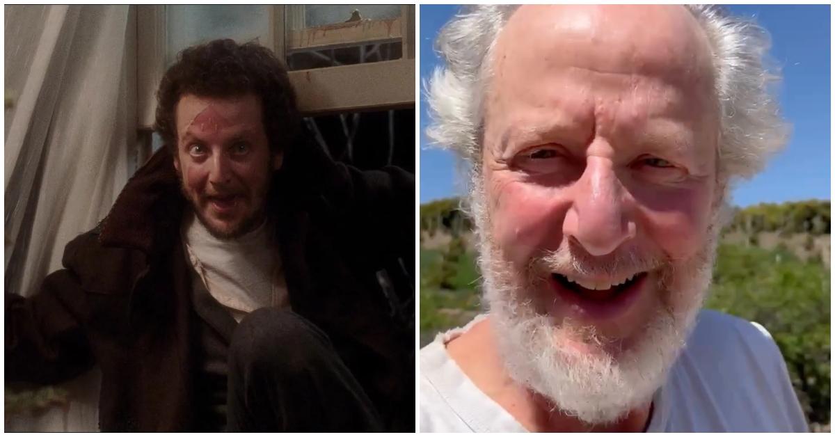 home alone cast today daniel stern