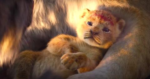 3-lion-king-1580916779812.jpeg