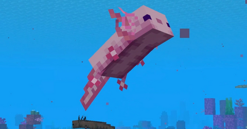 Want to Tame an Axolotl in 'Minecraft'? Here's How to Do It