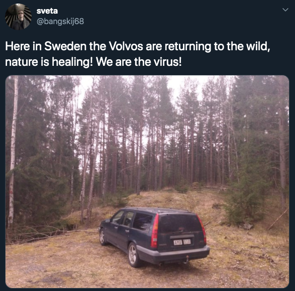 Nature Is Healing' Jokes That Will Make You Giggle This Dark Time