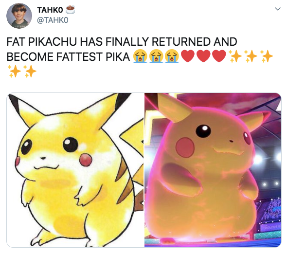 mocchi mocchi pikachu fat