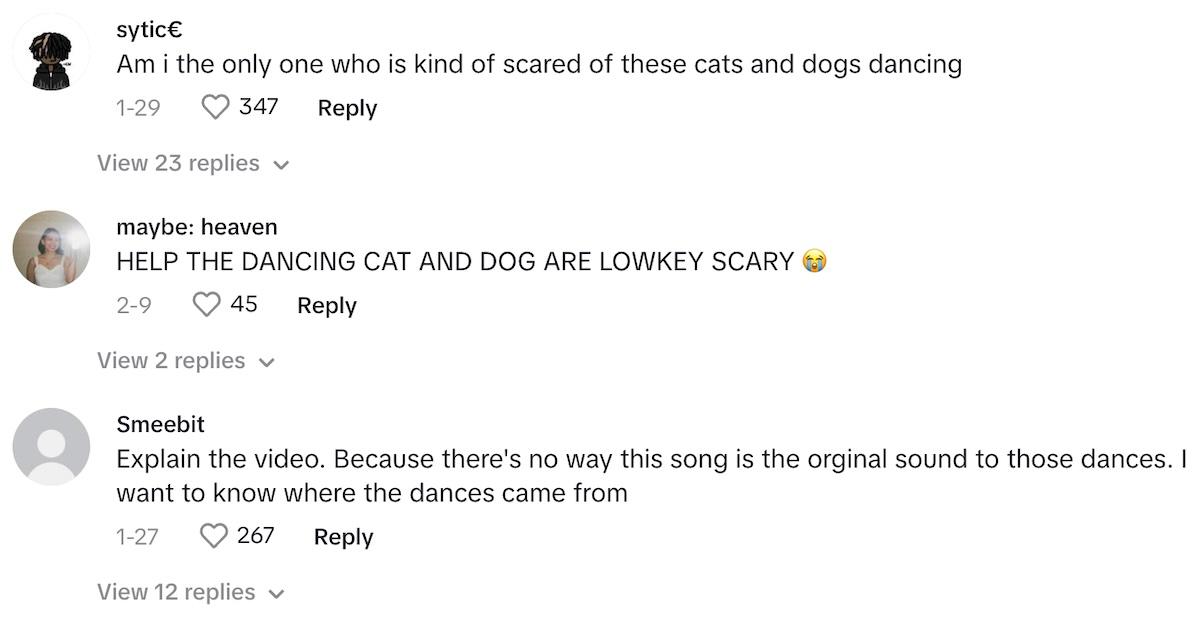 TikTokers confused and scared by dancing cats and dogs