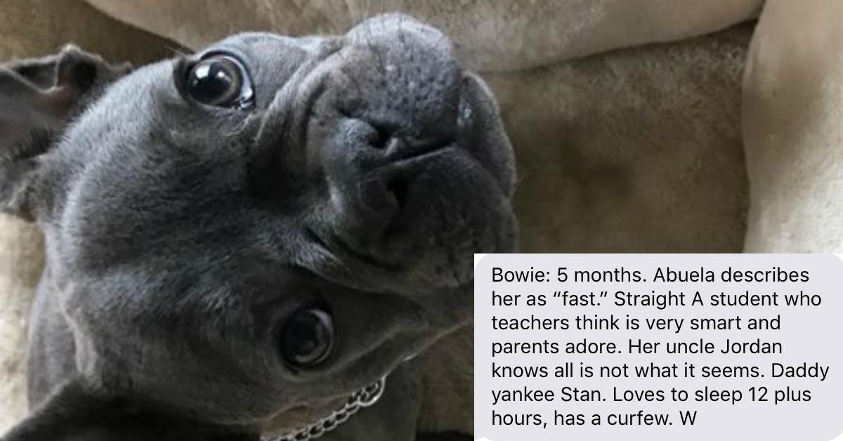 cover-pup-1-1509132800840-1509132803364.jpg