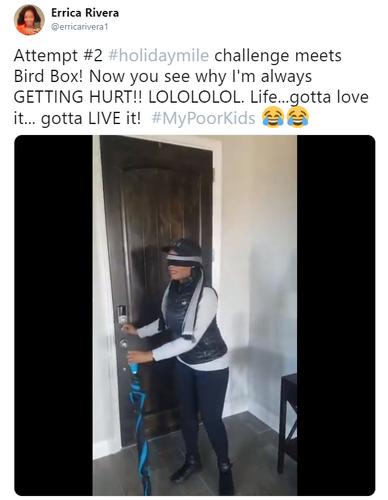 birdbox challenge memes