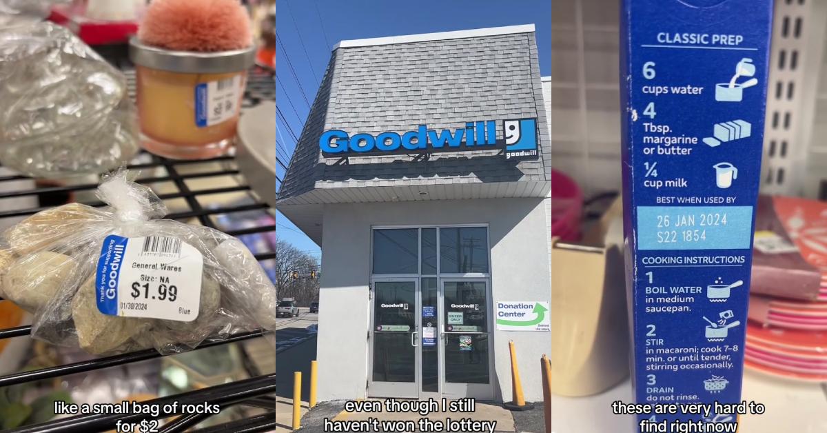 Guy Baffled by Bizarre Goodwill Items, Prices in Viral Clip