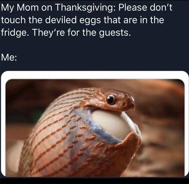 thanskgiving meme