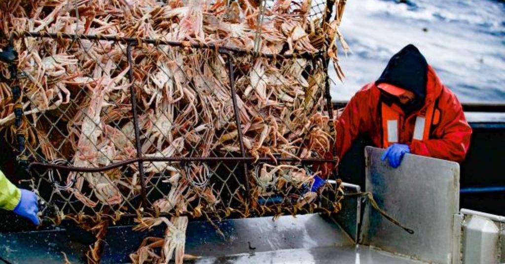 Where Is the Cornelia Marie From Deadliest Catch? Details