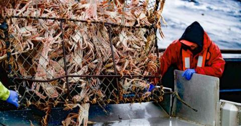 Fishing for king crabs on 'Deadliest Catch'
