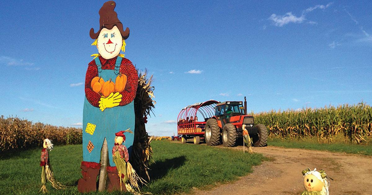 best pumpkin patch near me pittsburgh