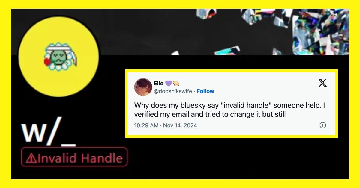 Reddit and X users reveal that their Bluesky accounts have an "invalid handle" message on their profiles.