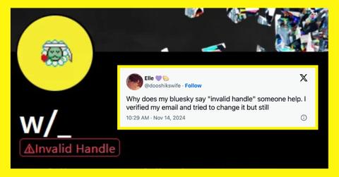 Reddit and X users reveal that their Bluesky accounts have an "invalid handle" message on their profiles.