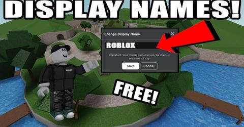 Display Names Roblox