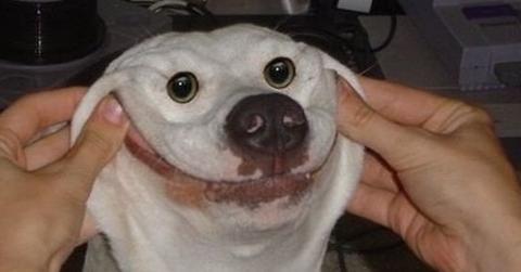 AHUxUMwgwvUnDoFqmTlp_FtqpM_uUmqwUwIQ