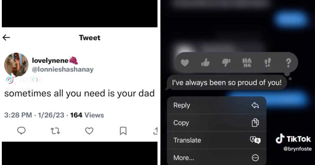 tiktok sometimes all you need is your dad