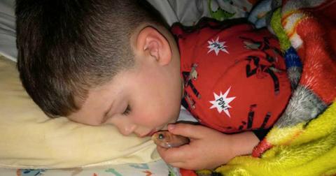 boy-pet-goldfish-1552316046817.jpg