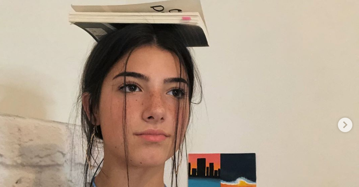 Who Exposed Private Photos of TikTok's Charli D'Amelio? What We Know